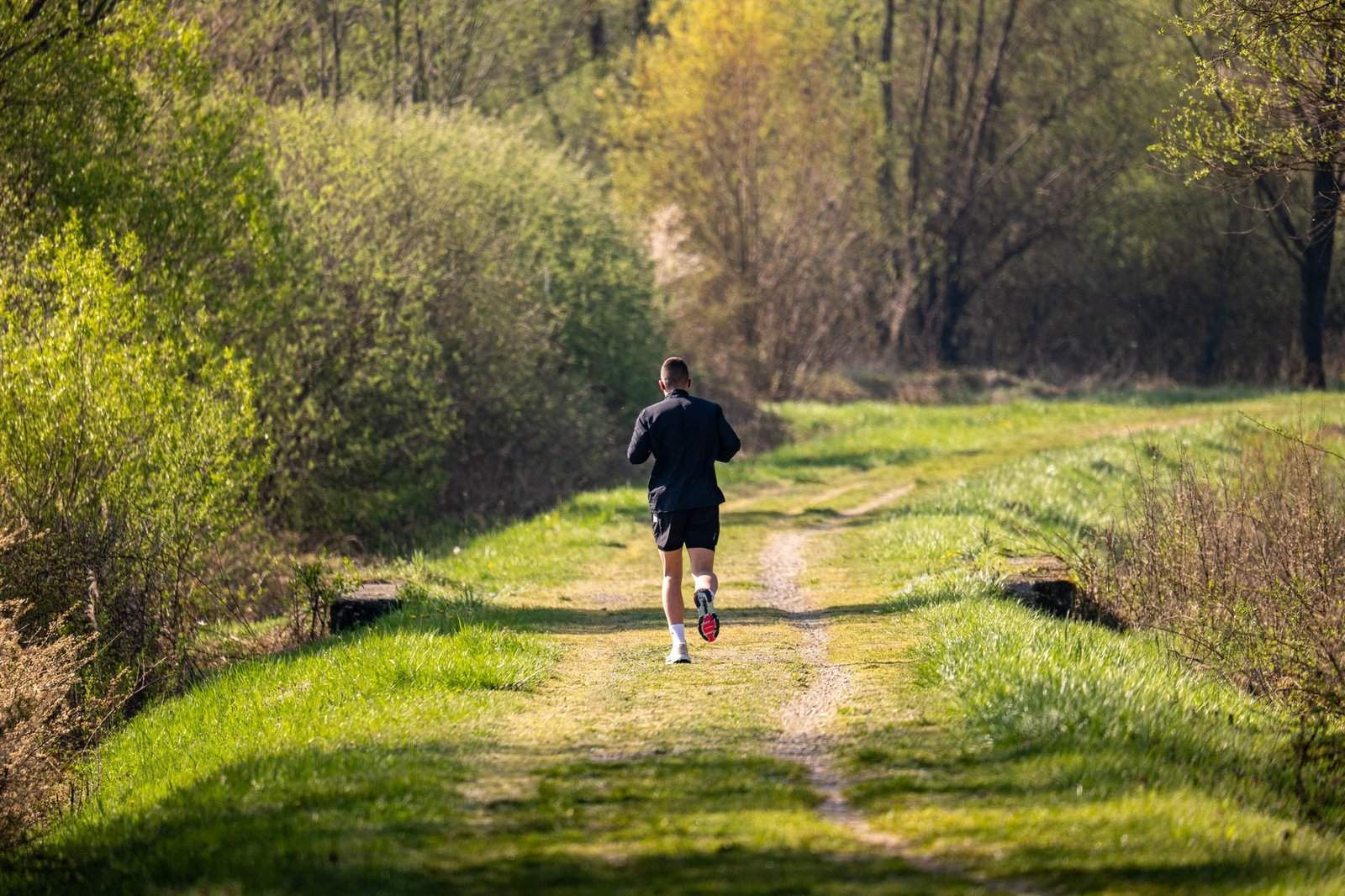 Training chart showing progressive long-run distance adjustments