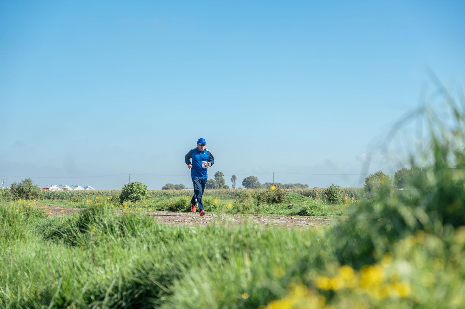 Easy carb-focused meal timing for reliable weekly run