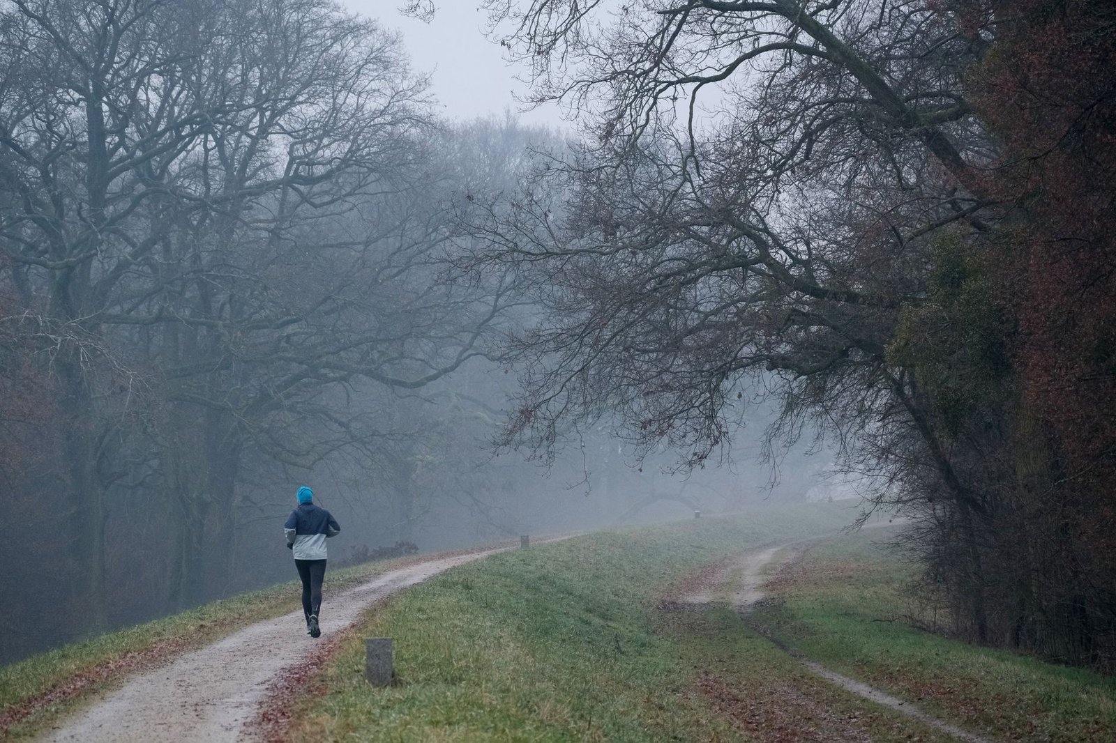 Thames embankment clouds signal rain probability before training run