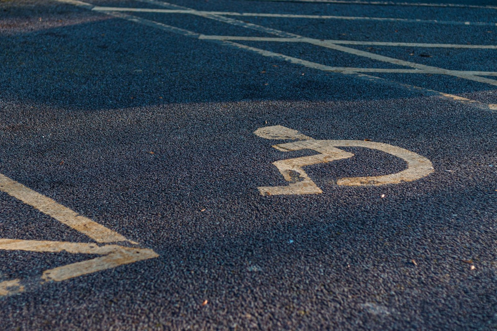 Driver and caregiver checking accessible transfer points in London