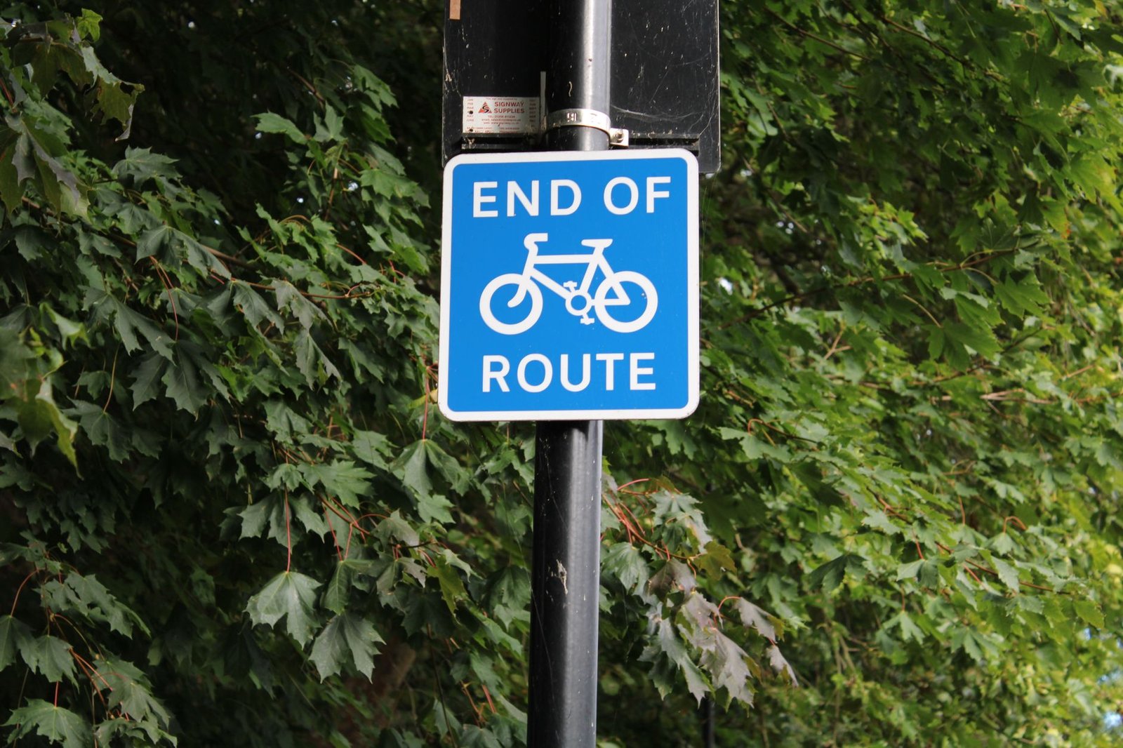 Trainer reviewing safety checklist for London downhill routes