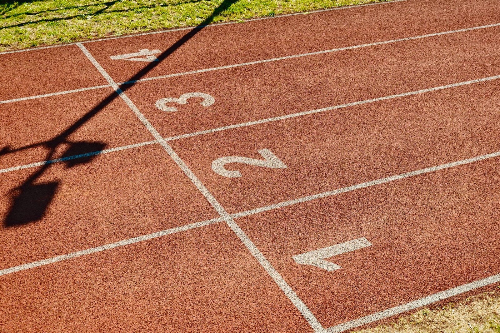 Rest days and sleep quality tracked in recovery summary